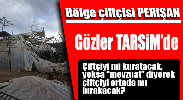 BATI MERSİN, AFET BÖLGESİ İLAN EDİLECEK Mİ?