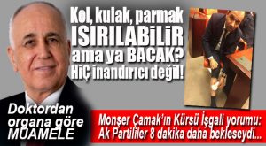 Youtube Kanal Tasarım Hizmeti
