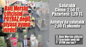 SALATALIK FİYATLARINDAKİ SERT DÜŞÜŞ ÜRETİCİYİ VURDU