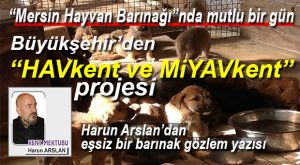 HARUN ARSLAN YAZDI… “MERSİN HAYVAN BARINAĞI”NDA MUTLU BİR GÜN…