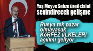 ELVAN MERSİN ÇİFTÇİSİNE YENİ PAZARLAR SAĞLAMAK İÇİN ÇALIŞMALARINI YÜRÜTÜYOR