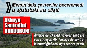 AP’DEN TÜRKİYE’YE: “AKKUYU PROJESİNİ DURDURUN”