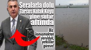 TARSUS KULAK KÖYÜ’NDEKİ SERALAR SU TAŞKININDAN ZARAR GÖRDÜ