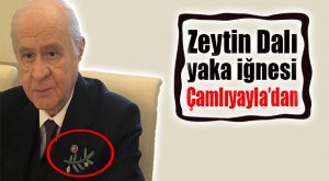 MHP ÇAMLIYAYLA İLÇE TEŞKİLATI’NDAN BAHÇELİ’YE ZİYARET