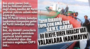 BODRUM’DAN BAŞLATILAN MERSİN KUMPASINI TARIM BAKANLIĞI BOZDU…