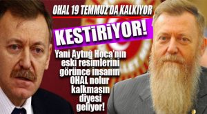BERBER CAMİASI BAYRAM EDİYOR… ATICI İÇİN SİNEKKAYDI GÜNLER BAŞLIYOR!