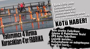 BALIK ÇİFTLİKLERİ’NDE İŞ YOK DİYENLER… Bİ’ZAHMET TIKLAYIVERİN GAYRI!