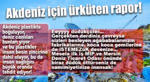 BALIK ÇİFTLİĞİNDEKİ BALIKLAR DAHA SAĞLIKLI ÇIKTI İYİ Mİ…