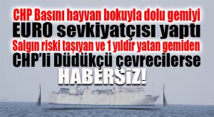 ŞOK İDDİA… TERK EDİLMİŞ GEMİDE ÇÜRÜMÜŞ YEMLER SALGIN RİSKİ TAŞIYOR!
