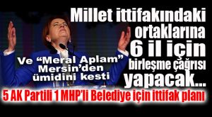 MERAL AKŞENER ÇARESİZ KALDI… YERELDE KENDİSİNE ORTAK ARIYOR!