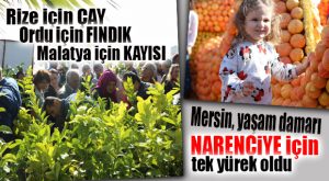 MERSİN’DE NARENCİYE FESTİVALİ COŞKUSU