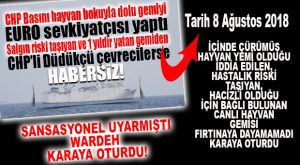 SANSASYONEL UYARMIŞTI… HASTALIK RİSKİ TAŞIYAN HACİZLİ GEMİ KARAYA OTURDU…