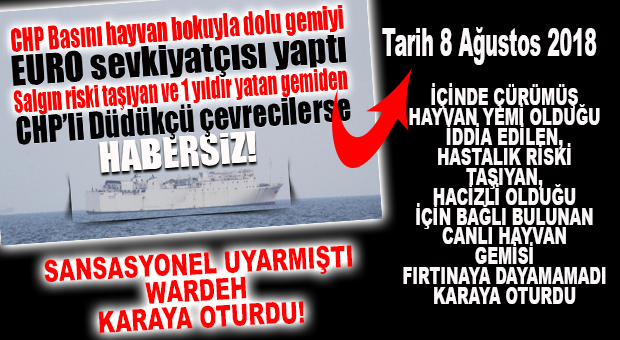 SANSASYONEL UYARMIŞTI… HASTALIK RİSKİ TAŞIYAN HACİZLİ GEMİ KARAYA OTURDU…