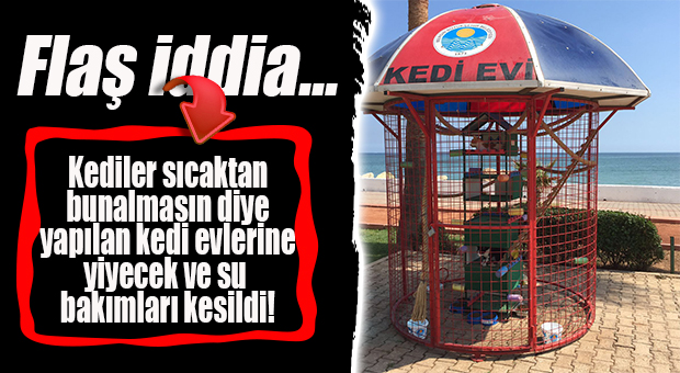 KEDİ EVLERİ KADERİNE Mİ TERK EDİLDİ?