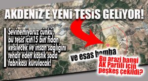 BOMBA İDDİA… MERSİN’DE İNSAN SAĞLIĞINI TEHDİT EDEN ÜRETİM İÇİN 15 BİN FİDANIN OLDUĞU ALAN PEŞKEŞ ÇEKİLDİ!