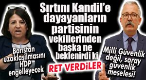 HDP’Lİ MERSİN MİLLETVEKİLLERİ DE TERÖRİST YPG’NİN VURULMASINA KARŞI!