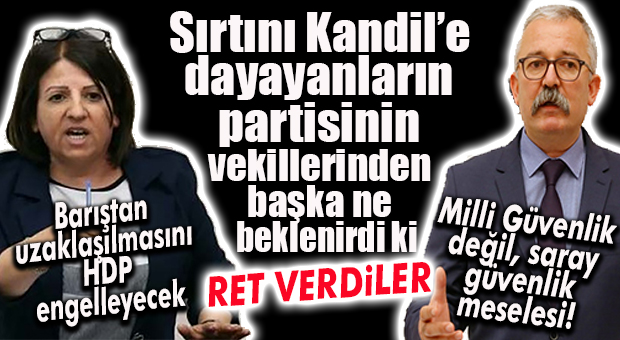 HDP’Lİ MERSİN MİLLETVEKİLLERİ DE TERÖRİST YPG’NİN VURULMASINA KARŞI!