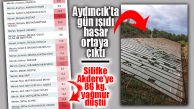 MERSİN’DE SAĞANAK, AYDINCIK’TA DOLU