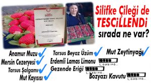 ÇİLEK DE TAMAM! MERSİN MARKALAŞMA YOLUNDA TÜM İLÇELERİYLE İLERLİYOR