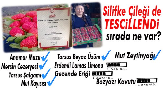 ÇİLEK DE TAMAM! MERSİN MARKALAŞMA YOLUNDA TÜM İLÇELERİYLE İLERLİYOR