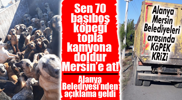 MERSİN BÜYÜKŞEHİR’DEN ALANYA BELEDİYESİ’NE: “SUÇ İŞLEDİNİZ!”