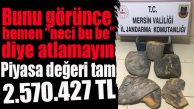 MERSİN’DE ELE GEÇİRİLDİ… PİYASA DEĞERİ DUDAK UÇUKLATTI