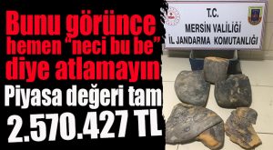 MERSİN’DE ELE GEÇİRİLDİ… PİYASA DEĞERİ DUDAK UÇUKLATTI