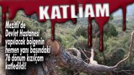 RANTINIZ BATSIN! MEZİTLİ’DE 76 DÖNÜM ORMANI BİR GECEDE YOK ETTİLER