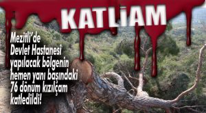 RANTINIZ BATSIN! MEZİTLİ’DE 76 DÖNÜM ORMANI BİR GECEDE YOK ETTİLER