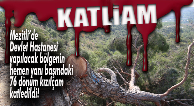 RANTINIZ BATSIN! MEZİTLİ’DE 76 DÖNÜM ORMANI BİR GECEDE YOK ETTİLER