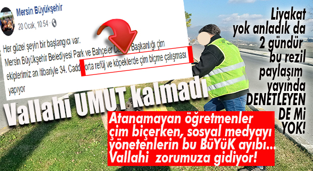 BÜYÜKŞEHİR UMUT VERMİYOR: ATANAMAYAN ÖĞRETMENLER ÇİM BİÇMEDE, SOSYAL MEDYA KİMLERİN ELİNDE?