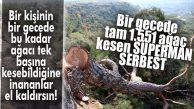 BİR GECEDE 1.551 AĞACI TEK BAŞINA KESEN SÜPERMAN VAR YA… O ARTIK SERBEST!