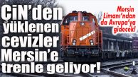 VİRÜS TEHDİDİ NEDENİYLE ERTELENMİŞTİ… ÇİN CEVİZLERİ MERSİN’E TREN YOLUYLA GELİYOR!