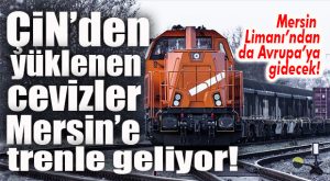 VİRÜS TEHDİDİ NEDENİYLE ERTELENMİŞTİ… ÇİN CEVİZLERİ MERSİN’E TREN YOLUYLA GELİYOR!