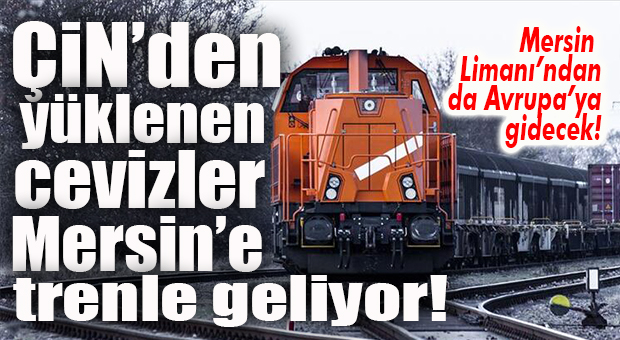 VİRÜS TEHDİDİ NEDENİYLE ERTELENMİŞTİ… ÇİN CEVİZLERİ MERSİN’E TREN YOLUYLA GELİYOR!