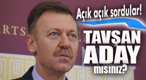 CHP’Lİ ATICI’YA NET SORU: “TAVŞAN ADAY MISINIZ?”