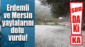 FLAŞ..FLAŞ…FLAŞ… ERDEMLİ VE MERSİN YAYLALARINI DOLU VURDU