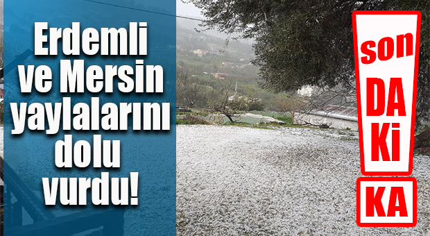 FLAŞ..FLAŞ…FLAŞ… ERDEMLİ VE MERSİN YAYLALARINI DOLU VURDU