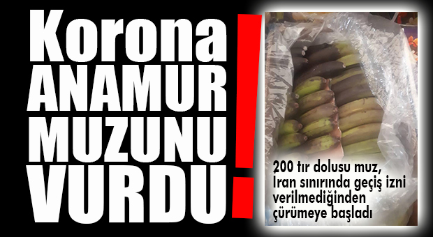 BATI MERSİN’E ENDİŞE DÜŞÜREN HABER: 200 TIR MUZ, SINIR KAPISINDA ÇÜRÜYOR!