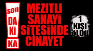 FLAŞ…FLAŞ…FLAŞ… MEZİTLİ SANAYİ SİTESİ’NDE CİNAYET: 1 KİŞİ ÖLDÜ