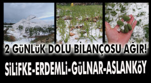 MERSİN’İN DOLU BİLANÇOSU AĞIR: SİLİFKE, ERDEMLİ, GÜLNAR, ASLANKÖY!