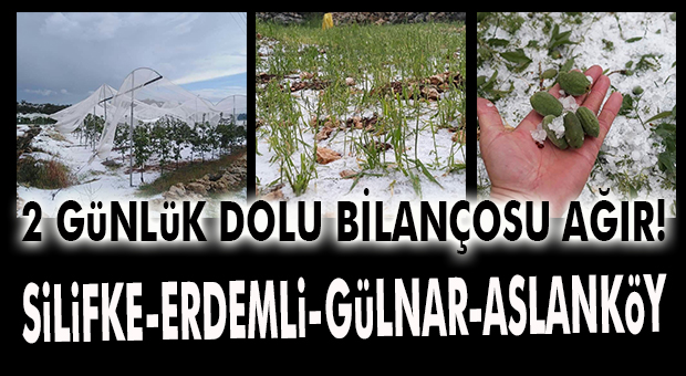 MERSİN’İN DOLU BİLANÇOSU AĞIR: SİLİFKE, ERDEMLİ, GÜLNAR, ASLANKÖY!