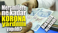 MERSİNLİLERE DEVLET TARAFINDAN YAPILAN KORONA YARDIMLARI AÇIKLANDI!