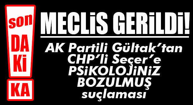 MECLİS GERİLDİ… GÜLTAK VE SEÇER KARŞI KARŞIYA GELDİ