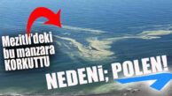 MEZİTLİ’DE DENİZ RENK DEĞİŞTİRDİ, VATANDAŞ ENDİŞELENDİ… RESMİ AÇIKLAMA GELDİ
