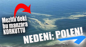 MEZİTLİ’DE DENİZ RENK DEĞİŞTİRDİ, VATANDAŞ ENDİŞELENDİ… RESMİ AÇIKLAMA GELDİ