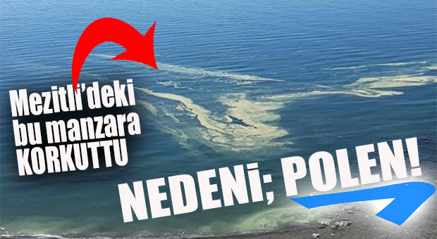 MEZİTLİ’DE DENİZ RENK DEĞİŞTİRDİ, VATANDAŞ ENDİŞELENDİ… RESMİ AÇIKLAMA GELDİ