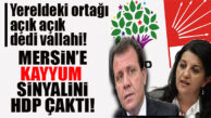 CHP’Lİ SEÇER’İN YERELDEKİ ORTAĞI HDP KONUŞTU: “MERSİN’E ATANACAK OLAN KAYYUMDA SORUMLULUĞUMUZ OLACAKTIR!”