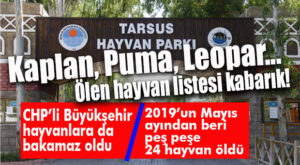 HAYVANLARA DA BAKAMAZ OLDULAR! TARSUS HAYVAN PARKI’NDA ÖLÜMLER ÇOĞALDI…