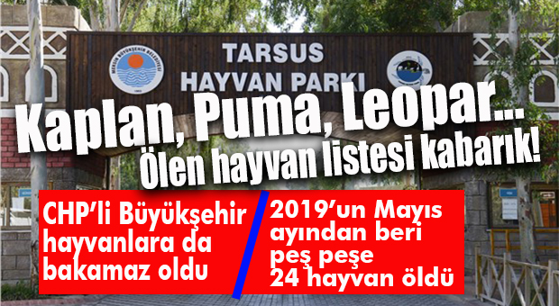 HAYVANLARA DA BAKAMAZ OLDULAR! TARSUS HAYVAN PARKI’NDA ÖLÜMLER ÇOĞALDI…